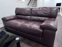 Brown Leather Couches For SALE!