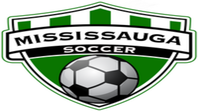 Looking for a Goalkeeper (Adult Men's league 7v7)
