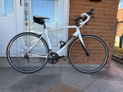 Specialized Secteur Elite, View more