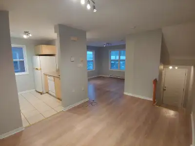 Duplex apartment - walk to Portage or Byward Market