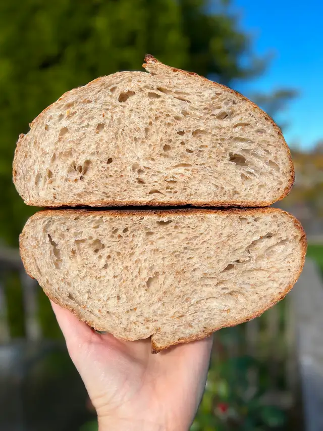 Online sourdough baking class65458275577345124