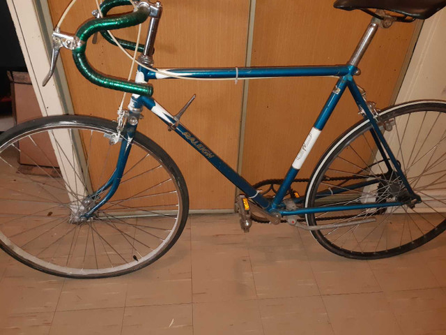 Raleigh used  in Other in Mississauga / Peel Region - Image 2