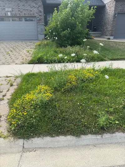 Text me for more information Lawn care Grass cutting Weed removal Trimming/ blowing/ bagging Mulch R...