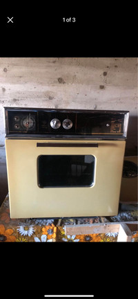 Countertop stove and oven