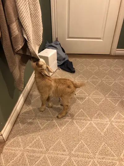 billy kids, View more