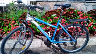 26" Bike for sale - Made in Canada, View more