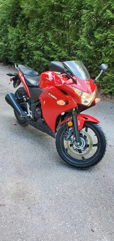 -Mint condition, never dropped -No issues, ready to ride -All maintenance recently done -9945KM -$32...