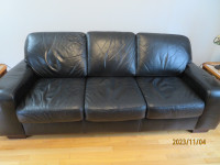 Genuine Leather Couch and Love Seat