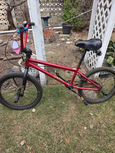 BMX Bicycle, View more