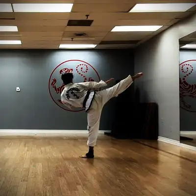 Taekwondo Class Instructor, View more