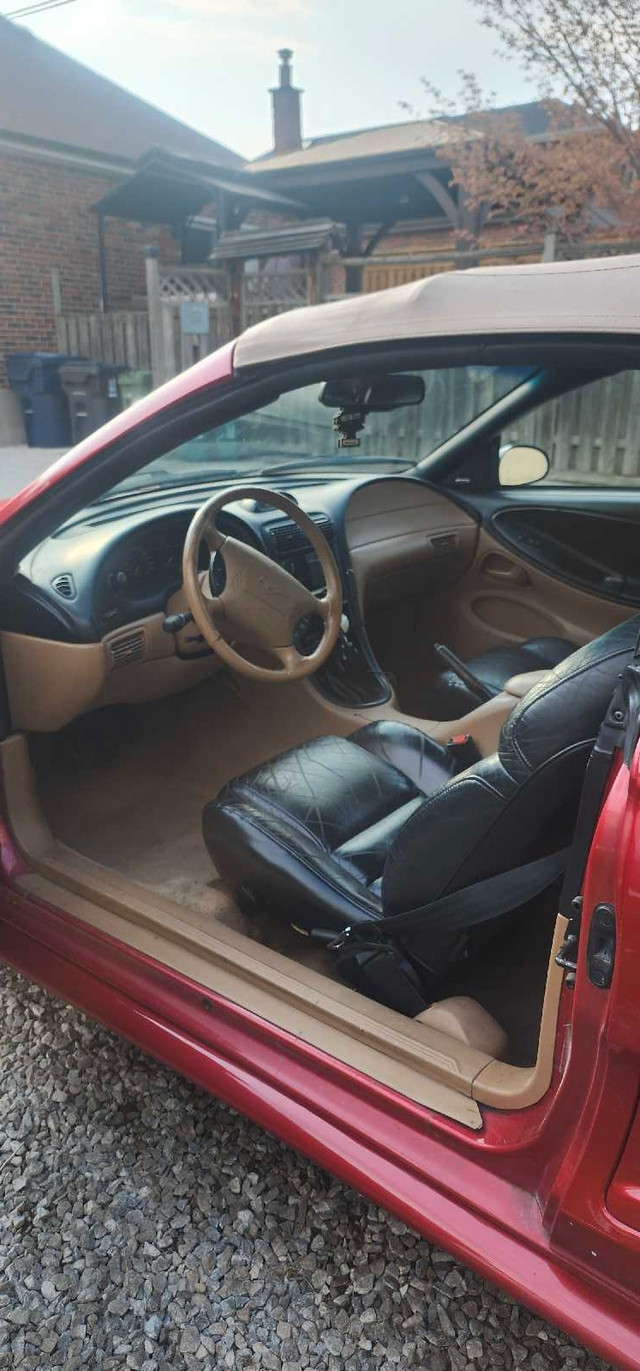 1995 Ford Mustang GT Convertible  in Cars & Trucks in Mississauga / Peel Region - Image 4