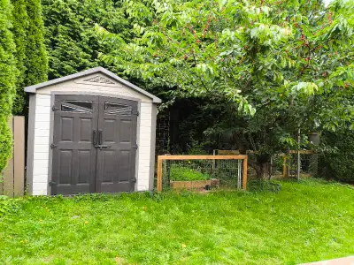 5 or 4 bedrooms house in White Rock for rent