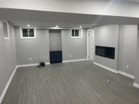 Basement Renovation, House Renovation