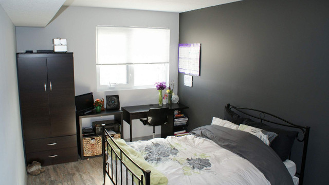 Apartment for Rent in Long Term Rentals in Kitchener / Waterloo - Image 3