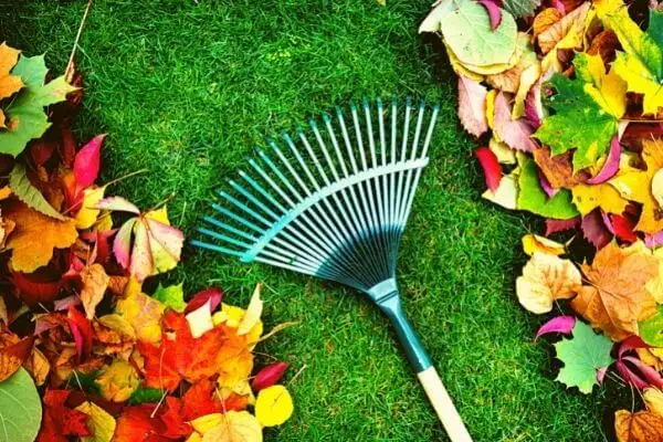 Spring cleaning available414910850427136008