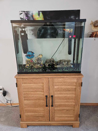 Fish tank with fish, stand, heater, rock, and decorations