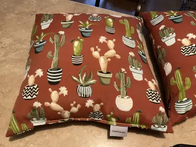 Hampton Bay outdoor pillows never used , View more