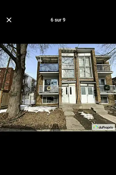 Sous-sol 4 1/2 à Ahuntsic 438 809 1339