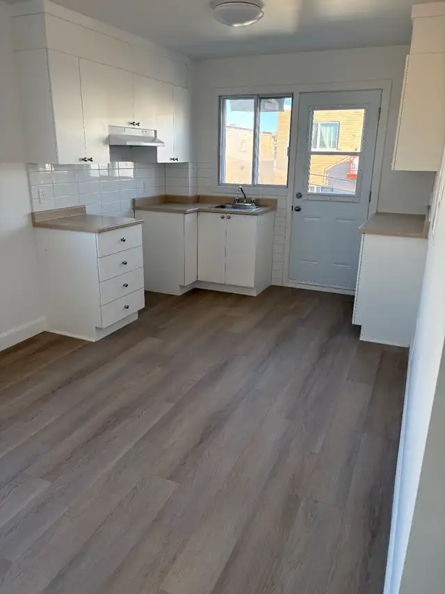 4 1/2 mtl. Nord complètement rénové