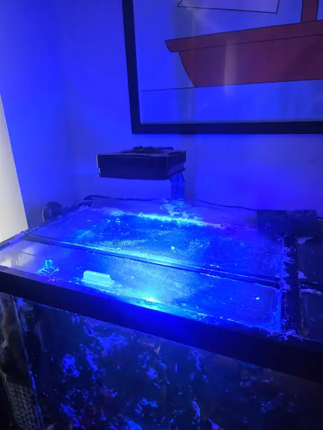 saltwater fish tank lights in Accessories in Barrie - Image 3