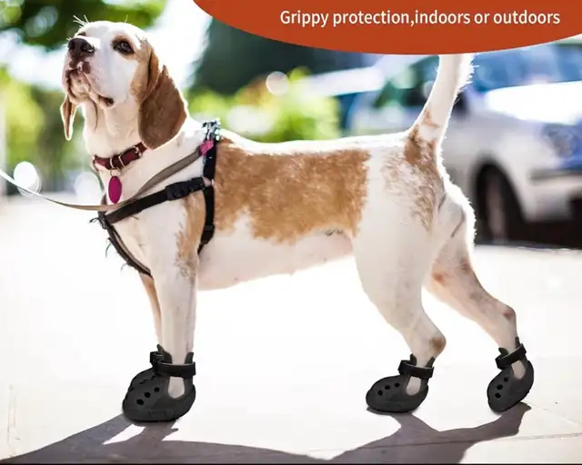 Dog paw boot65203783670659120