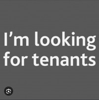 Looking for 1 female tenant