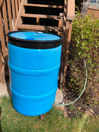 Rain Barrel with drain line for sale