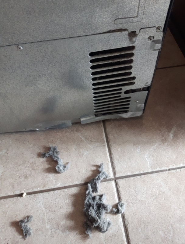 Donna's Details Cleaning Cleaners & Cleaning Hamilton Kijiji