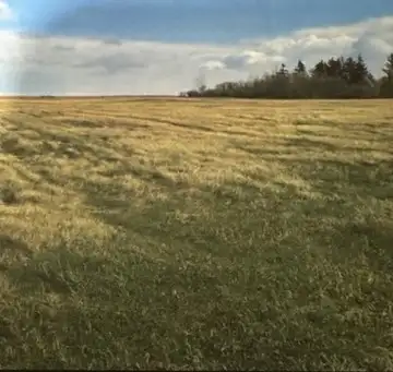 Pasture and hayland located southeast of the village of Botha in rural Stettler county. This propert...