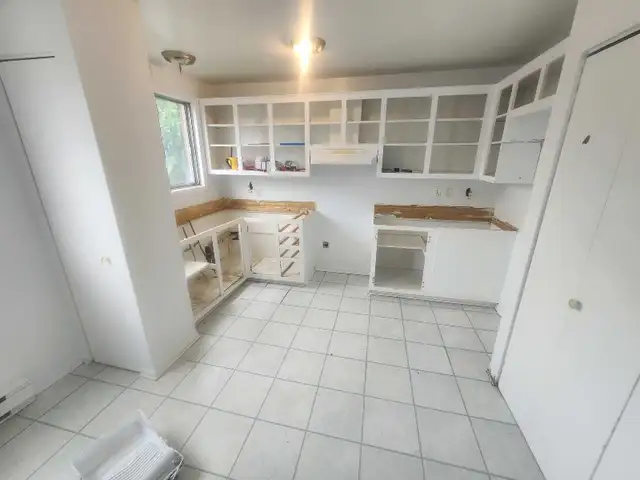 Handyman559731874821591041