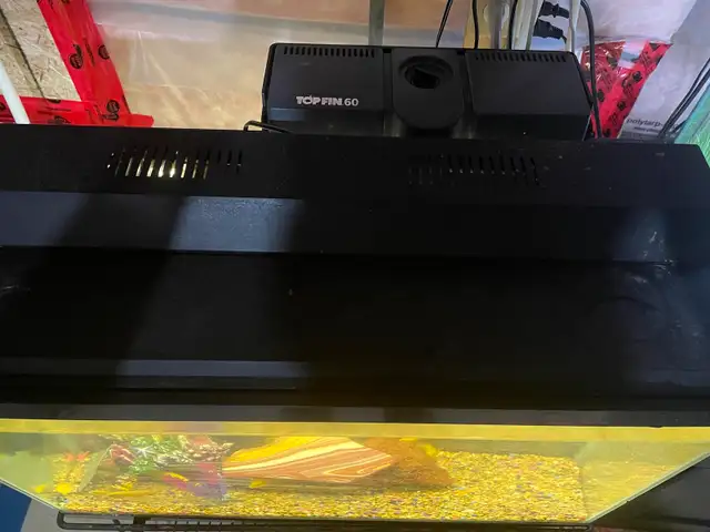 Fish Tank / Aquarium with stand & accessories. in Fish for Rehoming in Oshawa / Durham Region - Image 8
