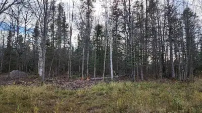 3 acres in Monetville Properties is approximately 2km from public boat launch to beautiful lake Nipi...