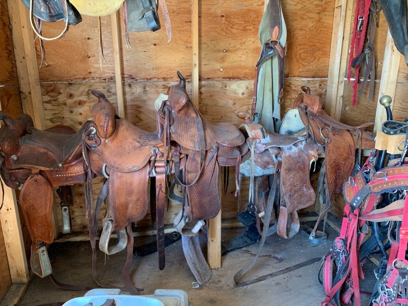 Tack for sale Equestrian & Livestock Accessories Saskatoon Kijiji