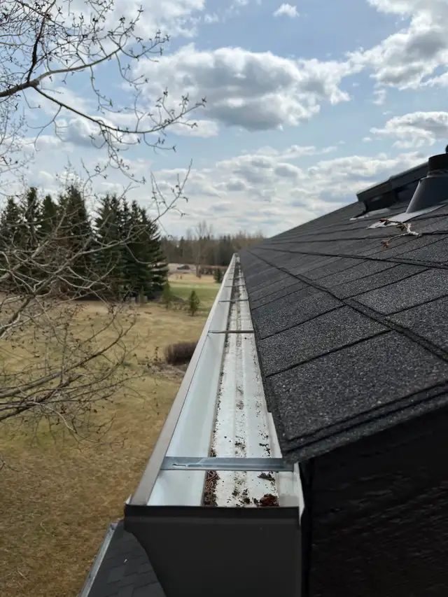 Spring Gutter Cleaning!