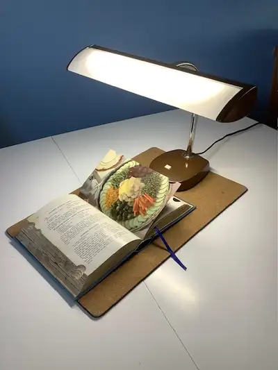 Vintage Fluorescent Backlight Gooseneck Desk Lamp, View more