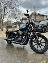 2019 Harley Davidson Iron XL1200