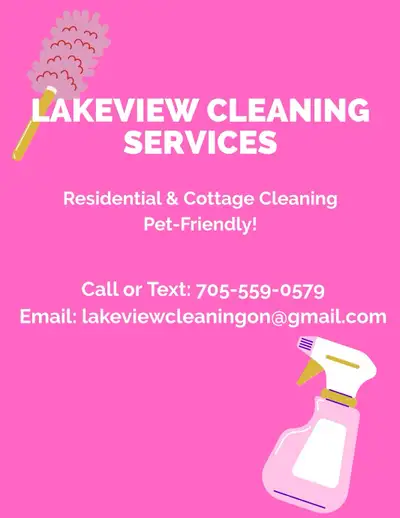 Cleaning Service , View more