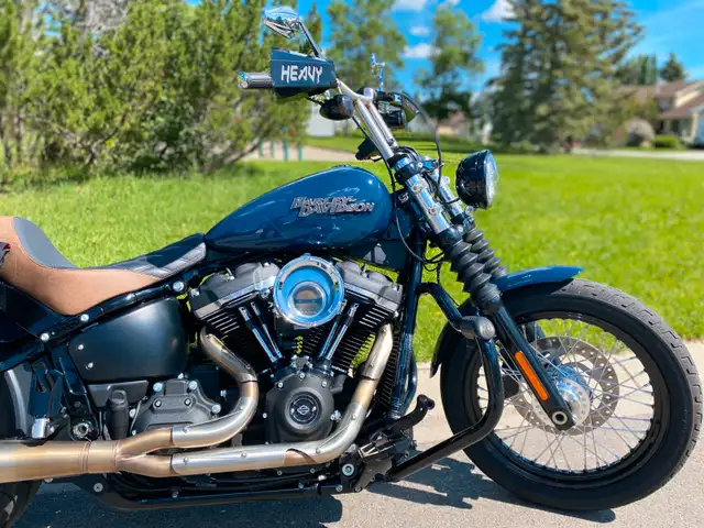 Harley Davidson Street Bob in Street, Cruisers & Choppers in Calgary - Image 6