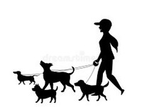 Dog walking services 