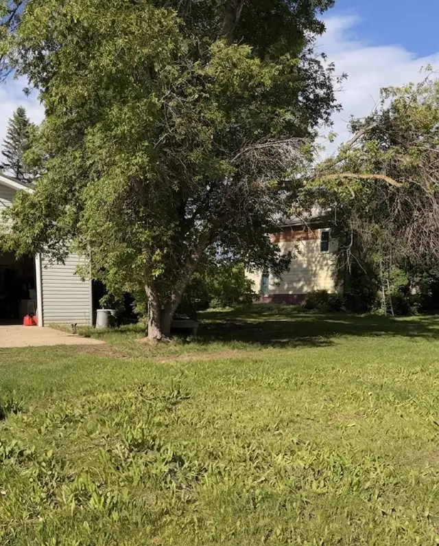 Tree cutting removal509003293189089287