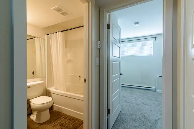 All Utilities Included 1 Bedroom Basement for Rent in Aurora62864373922945122