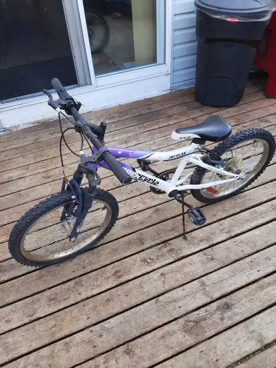 5 speed 20inch supercycle , View more