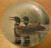 Bradford Exchange “The Loon Voice of the North” Collector Plates