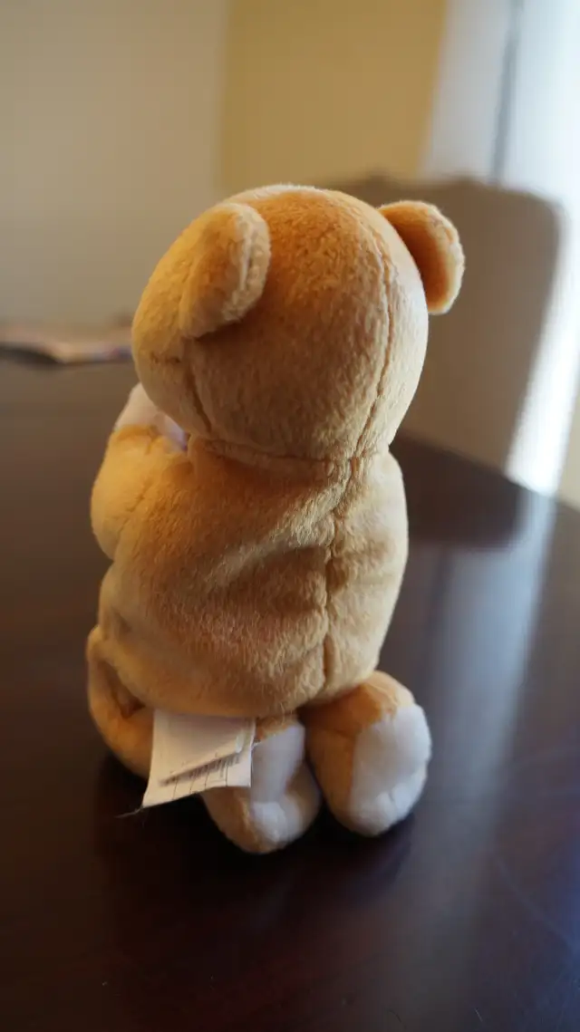 BEANIE BABIES in Other in Norfolk County - Image 4
