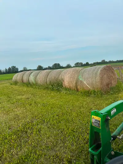 8 Last years round bales , grass with a bit of alfalfa baled dry and no rain , big bales net wrapped...