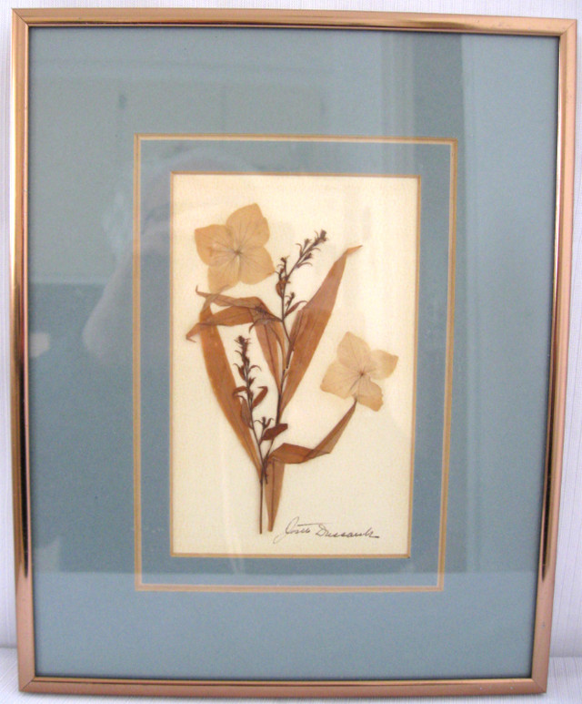 CADRES DECORATIF FLEURS SECHEES VINTAGE DRIED FLOWER DECORATION dans Art et objets de collection  à Ouest de l’Île - Image 4