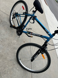 Bicycle $200