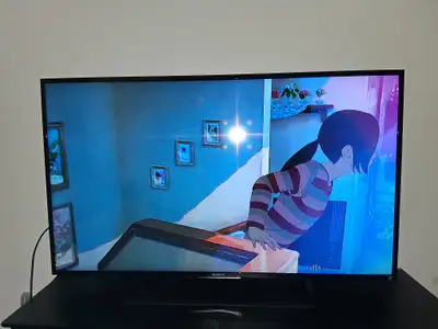 48" Sony Bravia TV, View more