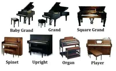Piano moving service starting at $199!, View more