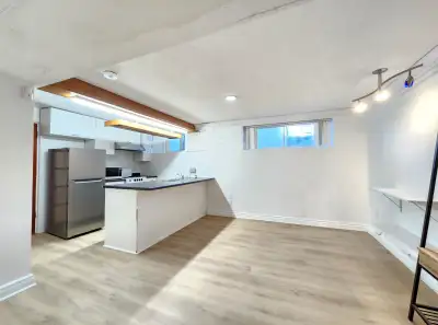 Nice, Bright 1 BR, 700 SF basement Apt @ Rogers Rd & Weston Rd